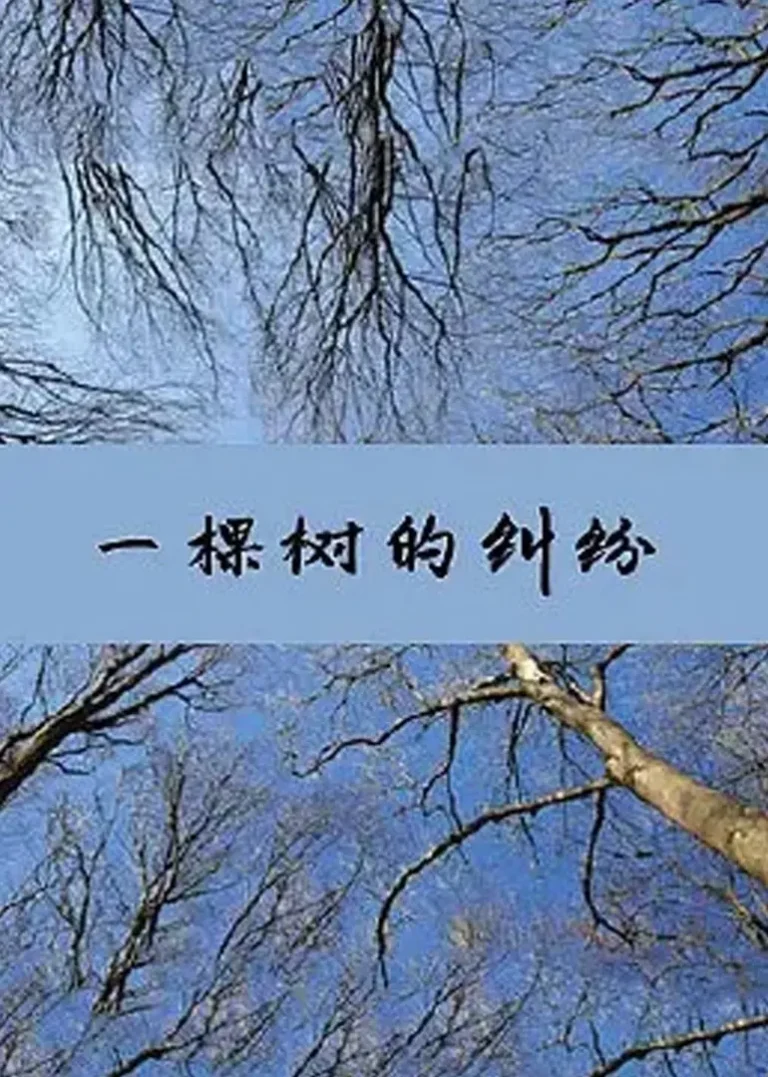 《一棵树的纠纷》全集高清完整版在线观看与剧情解析