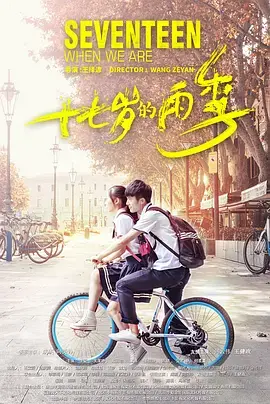 《十七岁的雨季》全集高清完整版在线观看与剧情解析