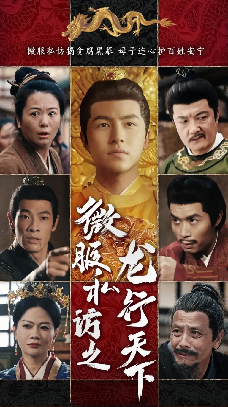 《微服私访之龙行天下》全集高清完整版在线观看与剧情解析