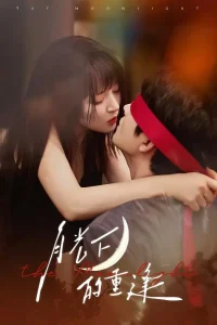 月光下的重逢