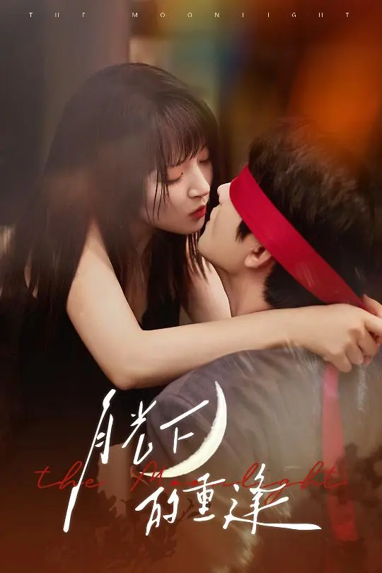 《月光下的重逢》全集高清完整版在线观看与剧情解析
