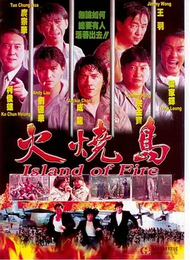 《火烧岛1991》全集高清完整版在线观看与剧情解析
