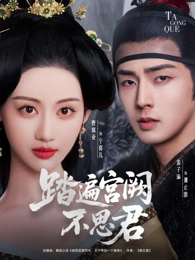 《踏遍宫阙不思君》全集高清完整版在线观看与剧情解析