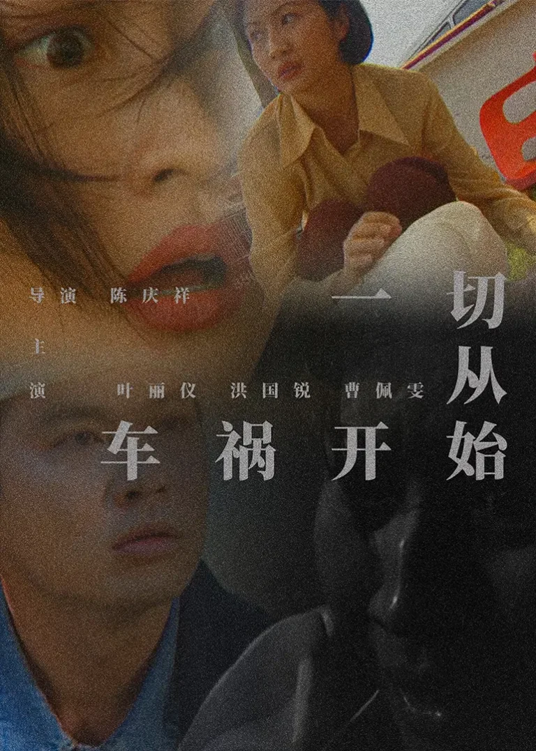 《一切从车祸开始》全集高清完整版在线观看与剧情解析