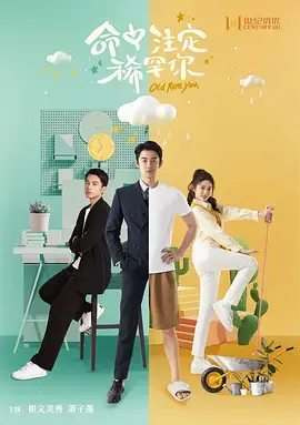 《命中注定稀罕你》全集高清完整版在线观看与剧情解析