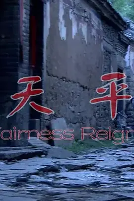 《天平2008》全集高清完整版在线观看与剧情解析