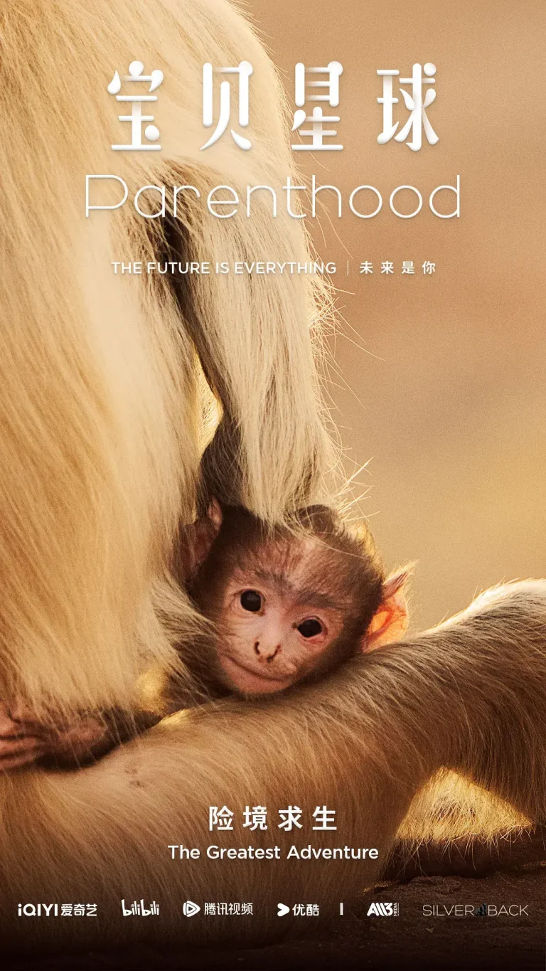 《宝贝星球》全集高清完整版在线观看与剧情解析